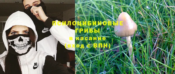 амф Россошь