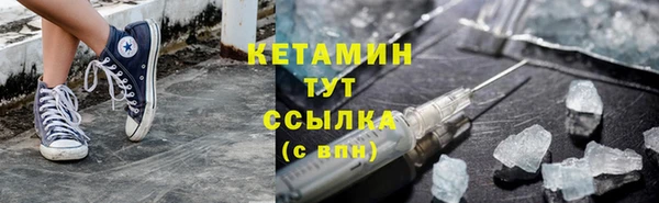 индика Саяногорск